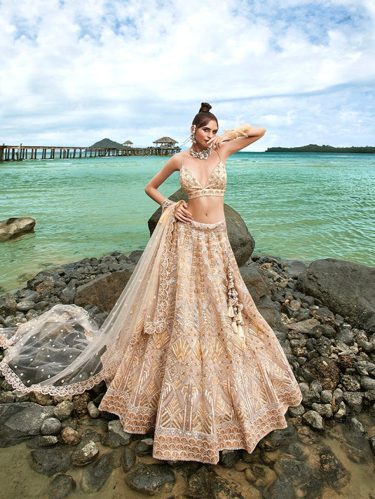 Double Colored Sequined Fully Net Embroidered Semi-Stitched Lehenga
