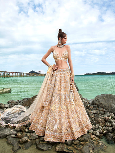 Double Colored Sequined Fully Net Embroidered Semi-Stitched Lehenga